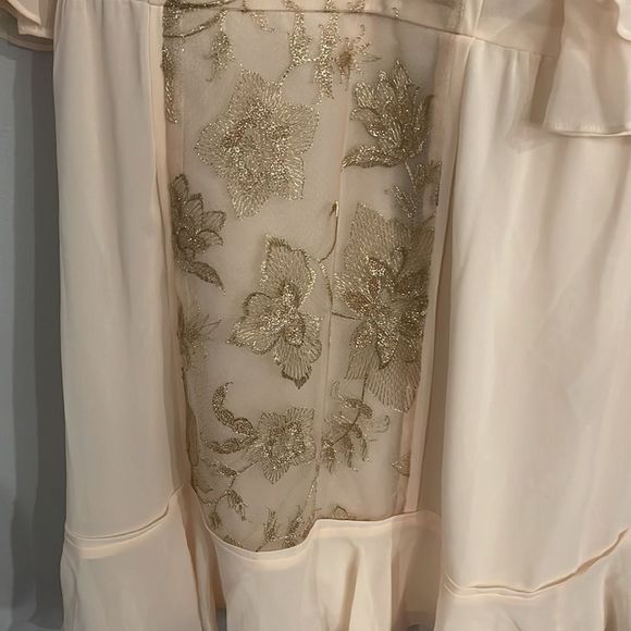 BCBGMaxAzria Cream and Tan Dress - Picture 4 of 10